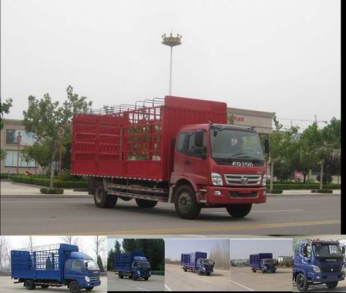 BJ5121VHCFK-S1仓栅式运输车燃油公告图片2