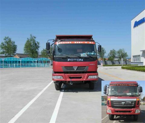BJ3253DLPJE-8自卸汽车燃油公告图片1