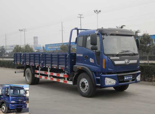 BJ1163VKPHK-2载货汽车燃油公告图片2