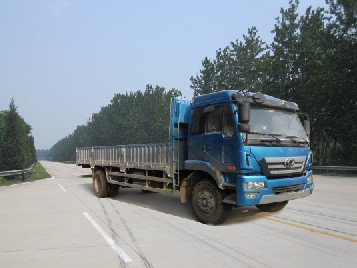 NXG1130D3ZAL1载货汽车燃油公告图片2