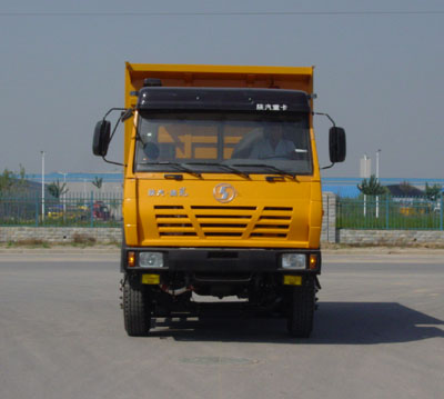 SX3255UN384自卸汽车燃油公告图片1