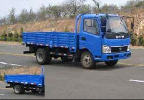 FD1082D10K载货汽车燃油公告图片2