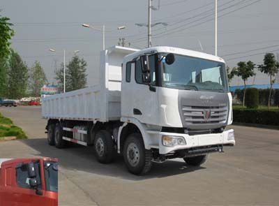 SQR3310D6T6-4自卸汽车燃油公告图片2