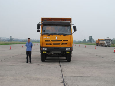 SX3315UN306自卸汽车燃油公告图片1