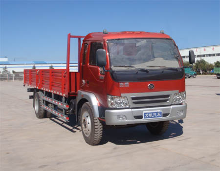 LFJ1053G1载货汽车燃油公告图片2