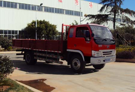 LFJ1053G1载货汽车燃油公告图片2