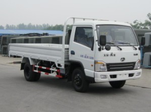 BJ1074P1T41普通货车燃油公告图片2