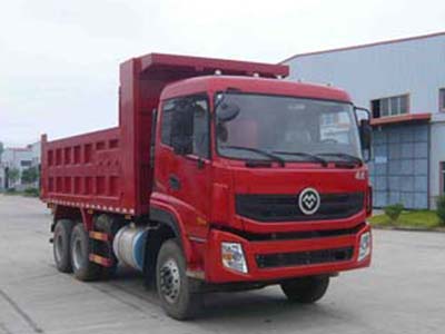 FJ3251MB-A自卸汽车燃油公告图片2