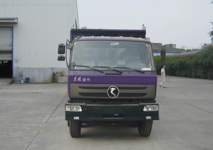 DFV3310G2自卸汽车燃油公告图片1