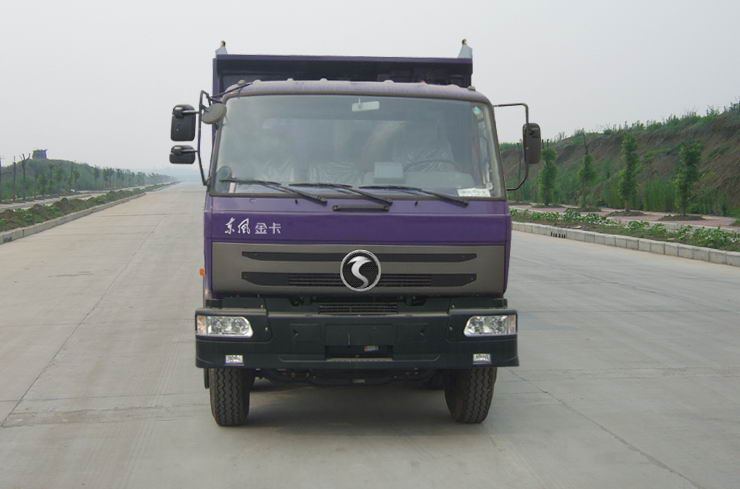 DFV3310G自卸汽车燃油公告图片1