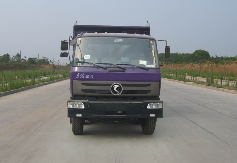 DFV3310G自卸汽车燃油公告图片1
