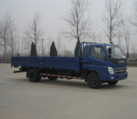 BJ1081VDPED-S载货汽车燃油公告图片2