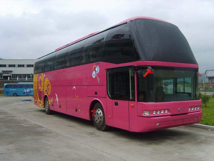 FJ6120HA3客车燃油公告图片2