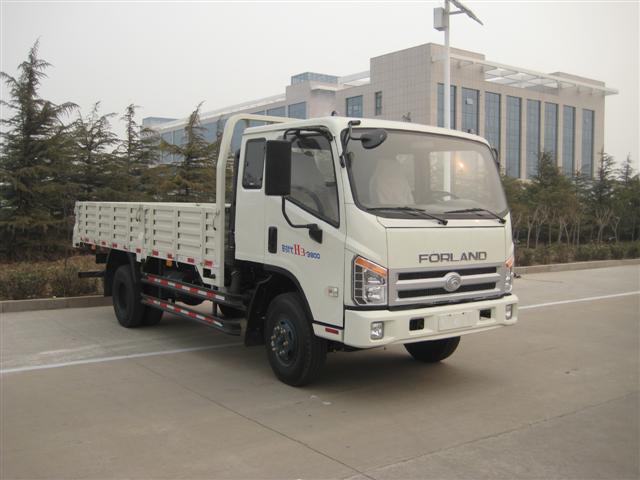 BJ1053VBPEA-A2载货汽车燃油公告图片2