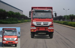 ZZ3314K3266C1自卸汽车燃油公告图片1