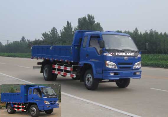 BJ3053DBPEA-S自卸汽车燃油公告图片2