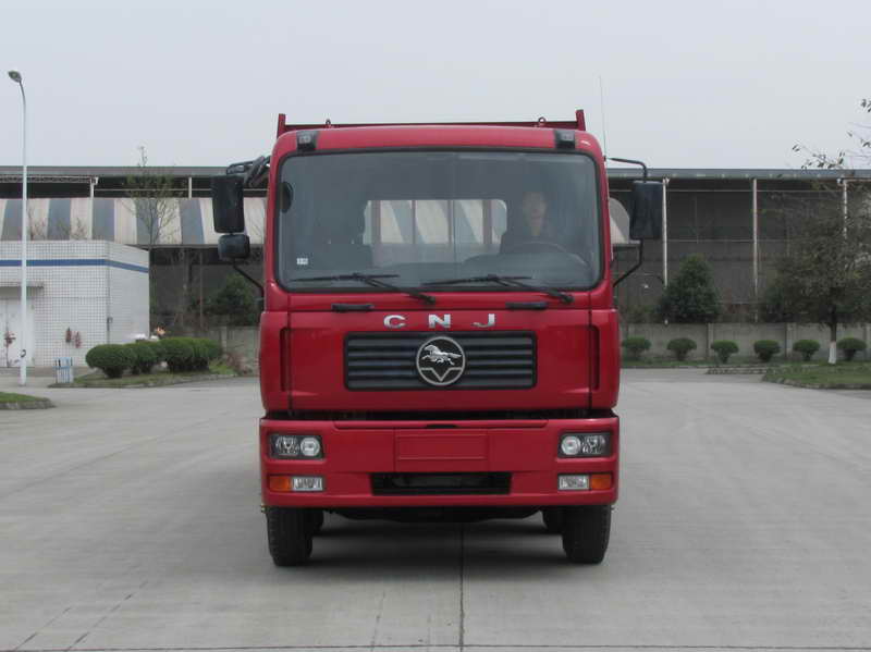 CNJ1200RPB68B载货汽车燃油公告图片1