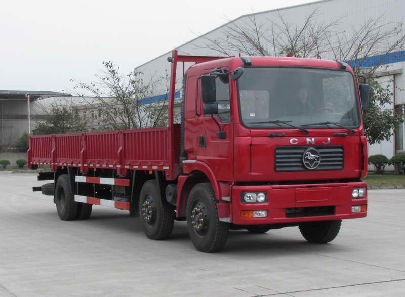 CNJ1200RPB68B载货汽车燃油公告图片2