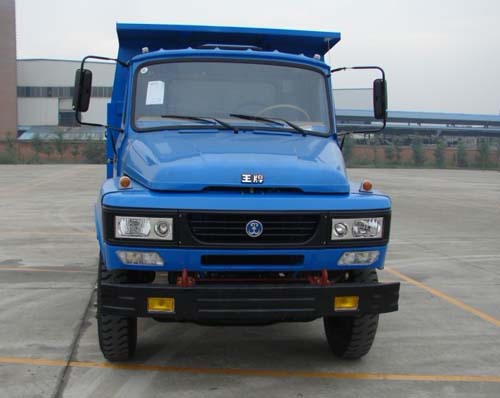 CDW3100N2J4自卸汽车燃油公告图片1