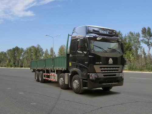 ZZ1317N4667N1载货汽车燃油公告图片2