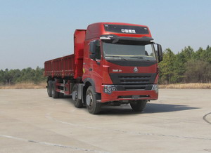 ZZ3317N4667N1S自卸汽车燃油公告图片2