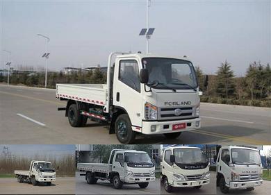 BJ1043V9JEA-A载货汽车燃油公告图片2