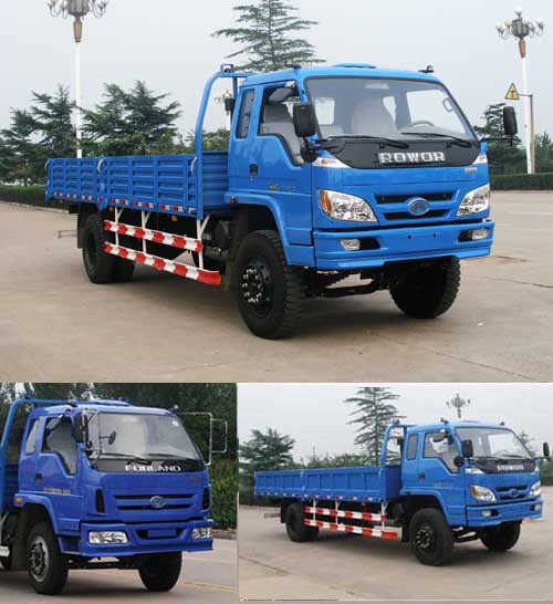 BJ1163VLPFK-1载货汽车燃油公告图片2