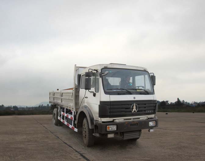 ND1161A55J载货汽车燃油公告图片2