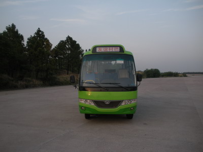 ZGT6540DG1轻型客车燃油公告图片1
