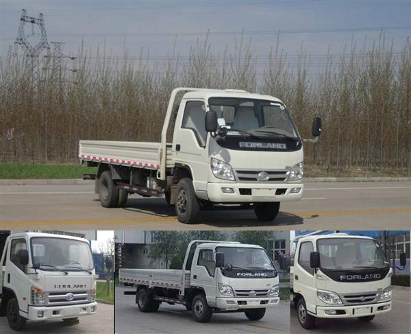 BJ1043V9JEA-A载货汽车燃油公告图片2