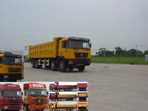 SX3315NR406自卸汽车燃油公告图片2