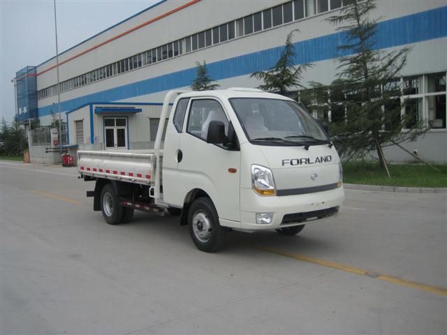 BJ1046V9PB6-A1载货汽车燃油公告图片2