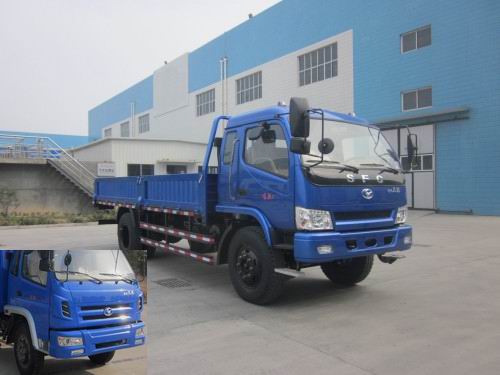 SSF1100HHP88载货汽车燃油公告图片2