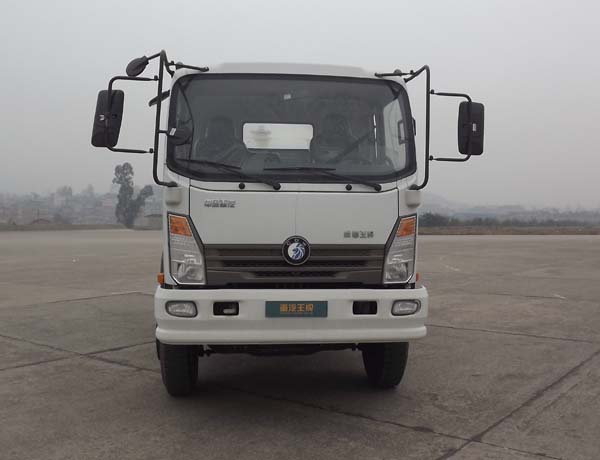 CDW5090GJBA3B3混凝土搅拌运输车燃油公告图片1