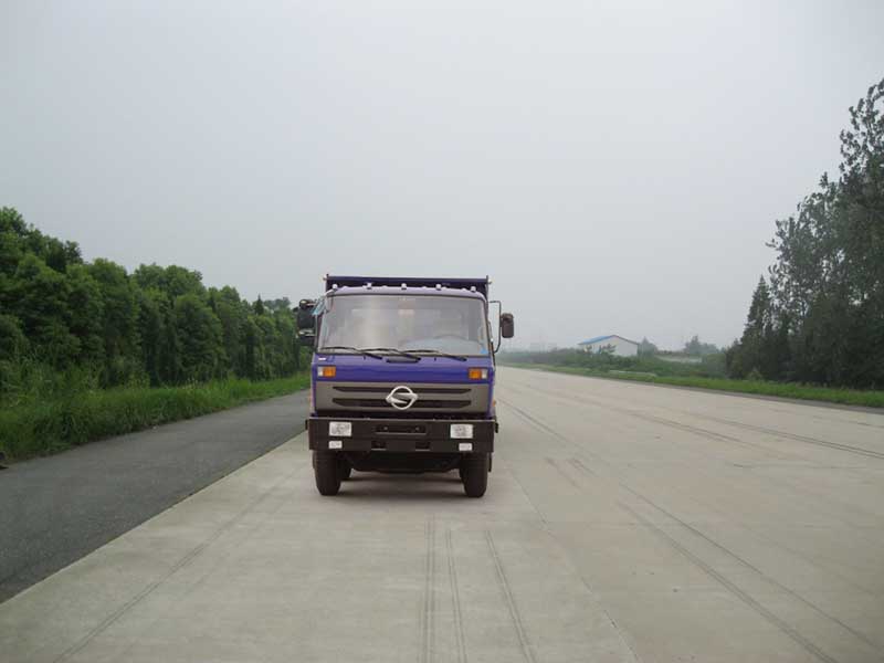 DFS3259G3自卸汽车燃油公告图片1