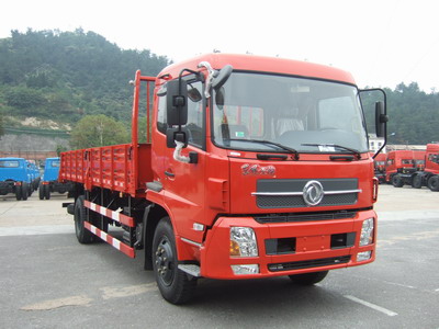 DFL1160BX5载货汽车燃油公告图片2