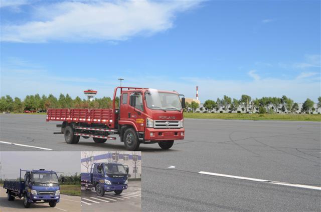 BJ1153VKPHK-A载货汽车燃油公告图片2