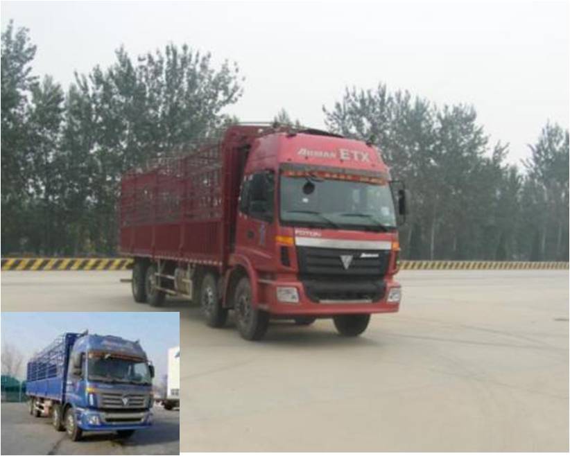 BJ5302CCY-1仓栅式运输车燃油公告图片2