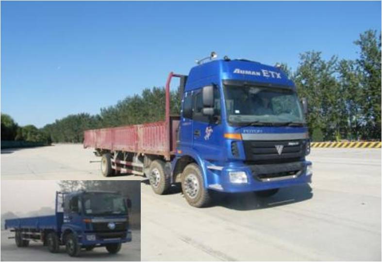 BJ1252VMPHP-1载货汽车燃油公告图片2