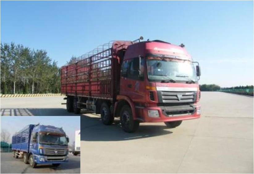 BJ5302CCY-1仓栅式运输车燃油公告图片2