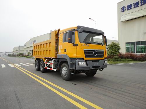 SX3251HTW384自卸汽车燃油公告图片2