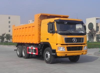 DYX3251PA38WPD3D自卸汽车燃油公告图片2