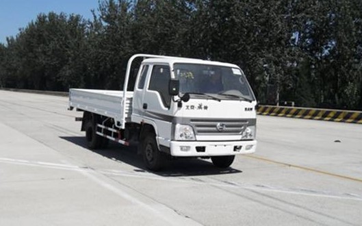 BJ1040PPT42普通货车燃油公告图片2