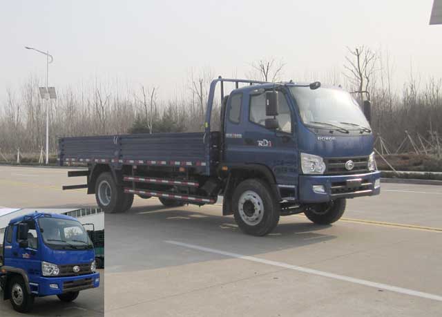 BJ1143VKPFG-1载货汽车燃油公告图片2