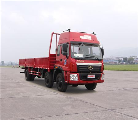 BJ1252VMPHP-G1载货汽车燃油公告图片2