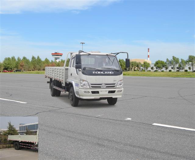 BJ1123VJPEG-A载货汽车燃油公告图片2