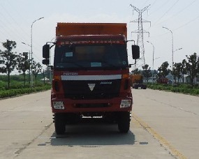 WL3250BJ38自卸汽车燃油公告图片1