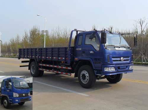 BJ1163VKPFG-4载货汽车燃油公告图片2
