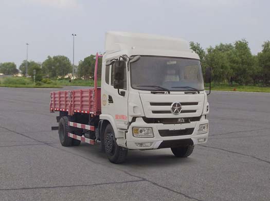 CGC1141WD3TA载货汽车燃油公告图片2