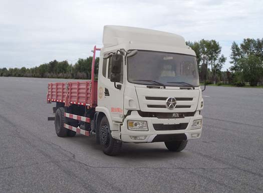 CGC1161WD3TB载货汽车燃油公告图片2